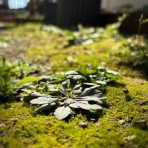 続・ゆるい生活