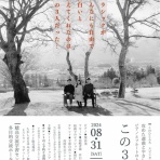 こんにゃくヘルメット日記