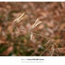 PureRAW6を導入してISOを気にする必要はほぼなくなった