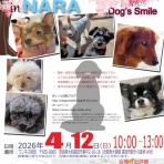 保護犬 ～預かり日記～