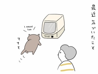 ねこ日記 - そんな顔してるのね。