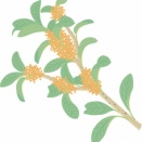 自分でやってみて改めてわかること