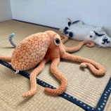『タコの逆襲』の画像