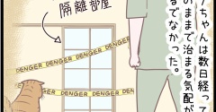 飼い猫の異変の解決方法は・・・のまき