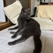 あなたが居なくなって3年が経ちました