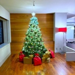 紀子の部屋・New