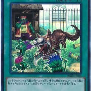 遊戯王　隣の芝刈り　アジア　No.1882 Amazon.co.jp: 遊戯王OCG 隣の芝刈り スーパーレア 韓国版 RATE