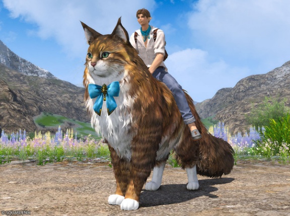 『FF14』の「猫マウント」がXでトレンド入り→勘違いしたリアル猫の飼い主たちが可愛い猫写真を大量投稿する事態にｗｗｗｗ