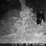 山田集落＝達人ブログ＝