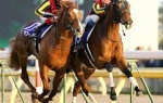 【競馬】　岩田ってなんでジェンティルドンナから降ろされたの？