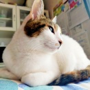 どこで調べてくるんやろ！