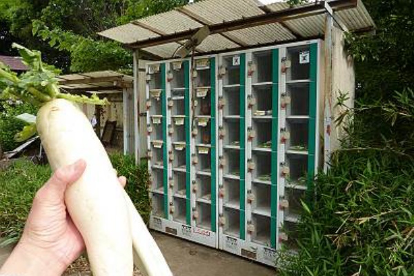 毎日がレビュー 野菜の自動販売機