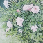 とみをの水彩画だより