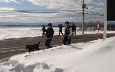 『スターになるのも楽じゃない・・・・』の画像