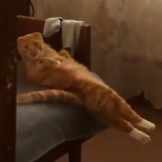 らばQ