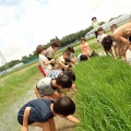 苗とり　田植え