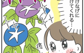植物って癒し…ですね…