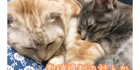 まめつぶ LIME（ライム）｜ワンステップクロス ピロータイプ（00072176