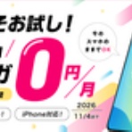 30後半からの早期リタイア生活
