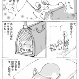 うちの犬のルカ。【９７】