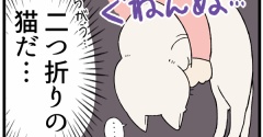 嗚呼、涙の「二つ折り猫」の葛藤が垣間見えた話