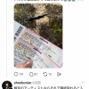 【画像】女さん、持ってくるチケットを間違えてフェスに入場できずwwwwwwwwwwwwwwww
