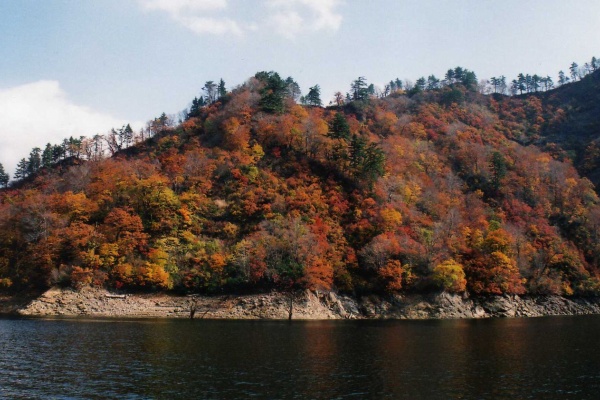 日本漫遊記 二大紅葉の絨毯 奥只見湖 越後みちのくの旅