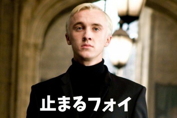 速報 新種のハチ マルフォイ と命名 まとめ遅報