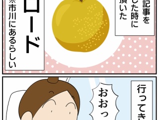 市川の梨ロードに行ってきました！