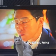 早く寝たいジンの頭脳作戦