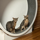 グレー兄弟の距離感