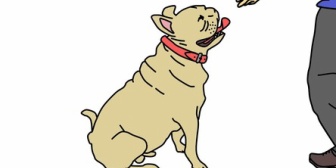 犬の散歩の時、皆さんマスクしてますか？