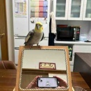 七月です