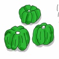 ぼたんこしょうの罠