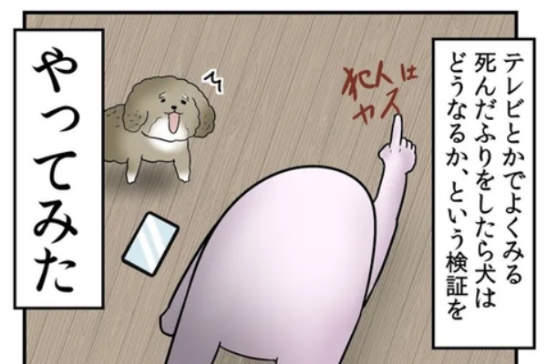 Web漫画家やしろあずきの日常 きなこ ペット関連 Powered By ライブドアブログ