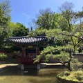 祝　国際園芸博覧会(＠横浜)　花博跡地は今