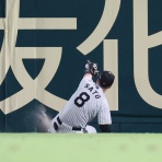 とらほー速報