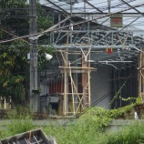 『週刊マンガライレポートVol.217』の画像