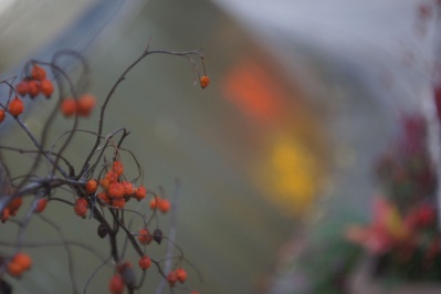 ZUIHO HONOR オーナー 50mm F1.9 ライカLマウントレンズ ZUIHO HONOR オーナー 50mm F1.9 ライカLマウントレンズ ZUIHO