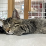 『今日のかわいいご報告✨』の画像