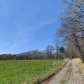 ■🏔清泉寮のすぐ近くに、こんな静かな森があった――祈りの道を歩く清里散策（山梨県北杜市）