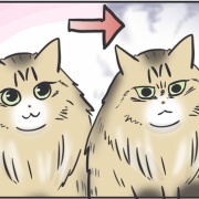 毎日が発見ネット掲載のお知らせ