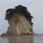 なんJワールド