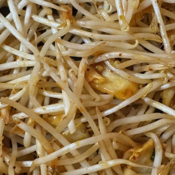 邪魔だなと思っていたら