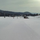 ユキ　１月１５日　今日のアップかんなべ