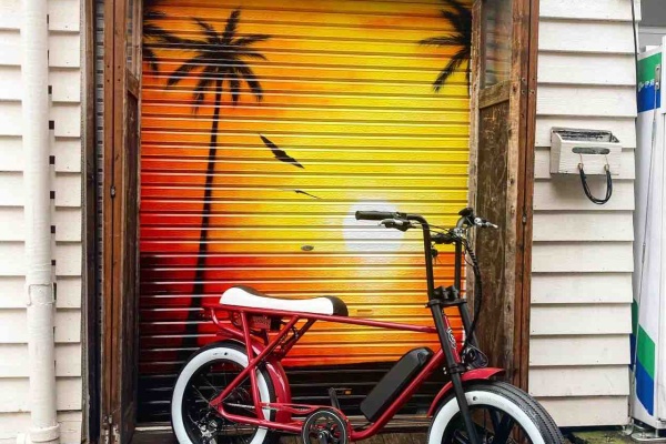 20 e bike