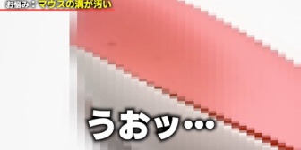 【にじさんじ】委員長の後輩お悩み相談、ぷてちのマウス手垢だけでも大満足や