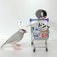 買い物のお供にジルたんを