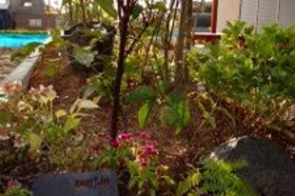 扇建築工房 はせログ