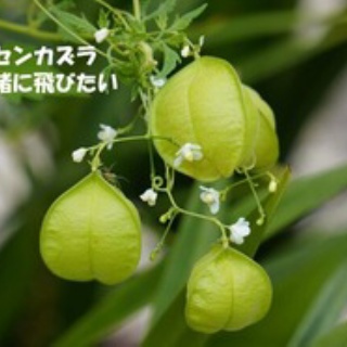 田舎記者の手帳
